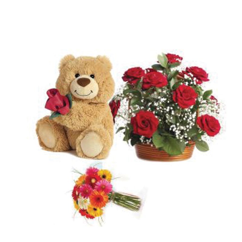 12 Roses + 12 Chrysanthemum With 6" Teddy