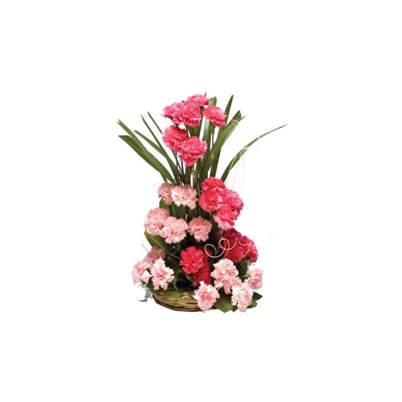 25 Carnations Flowers In Basket