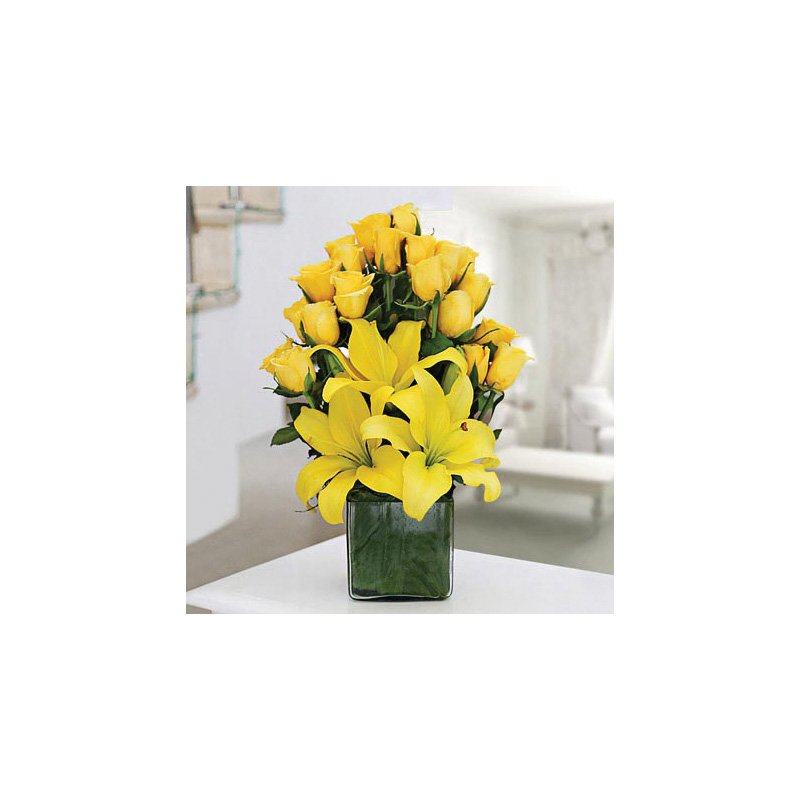 Make Up Her Mood Today Standard