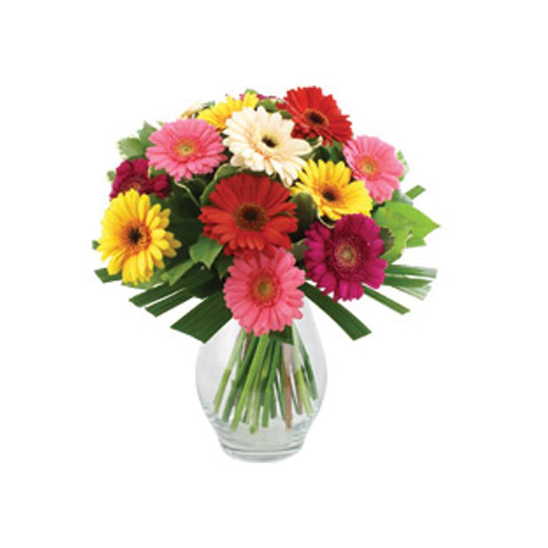 Bunch of Assorted Gerberas