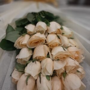 Peachy Petal Ensemble