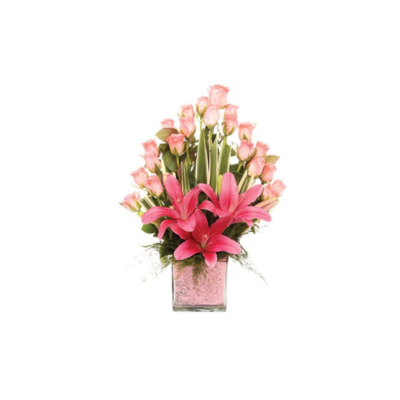 Powered By Pink Standard