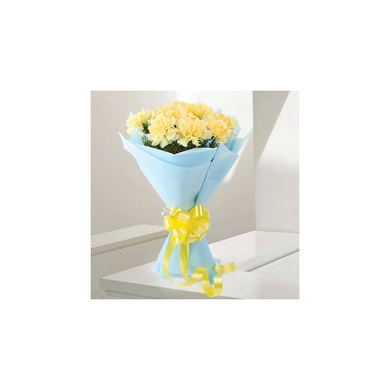 Sundripped Carnations