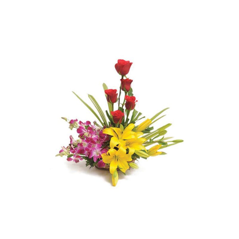 Sweet Splendor Standard