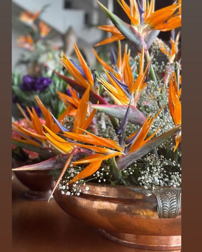 Instagram post from flowercart4u. This post is in position 4.